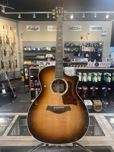 Taylor Guitars - 414CE-R SE